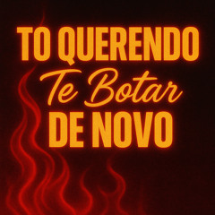 To Querendo Te Botar de Novo