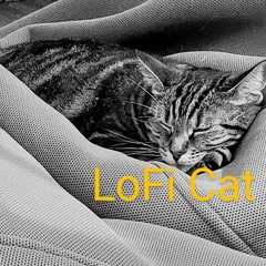 LoFi Cat_2.mp3