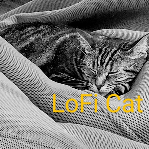 LoFi Cat_2.mp3