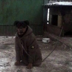 ЙДЕШ ЗАГАДОЧНИЙ ПО ВУЛИЦІ В НАВУШНИКАХ