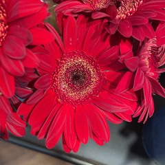 Epoch - SMB Ver (Club Penguin Soundfont)