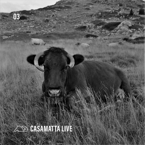 FAYDA.WAV 03 | CASAMATTA LIVE