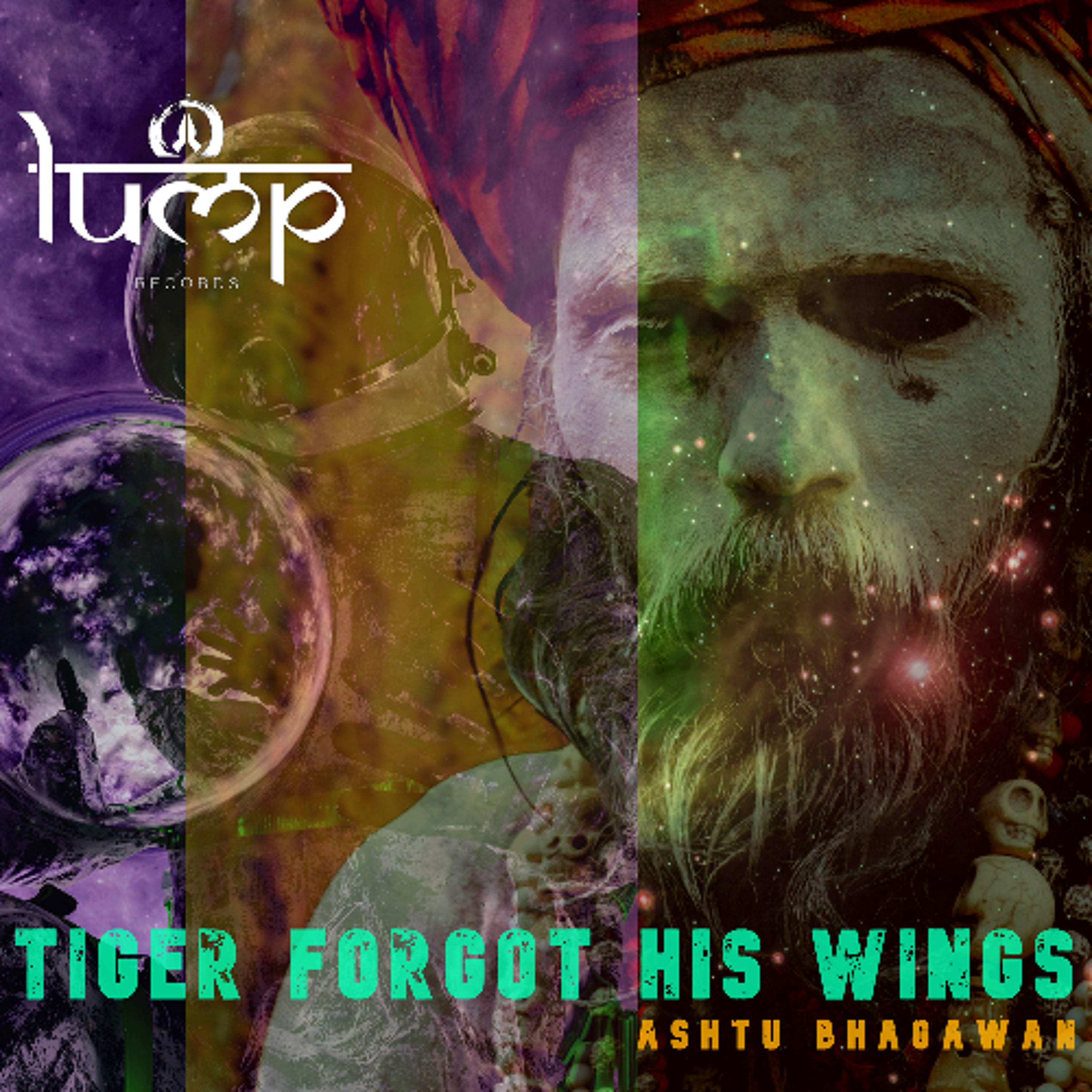 Tiger Forgot His Wings - Ashtu Bhagawan [Lump Records] episode artwork