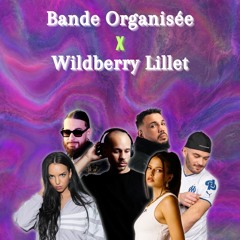 Bande Organisée Ft. Nina Chuba & JuJu (German Remix) - Vossi GVO Wildberry Lilllet Blend