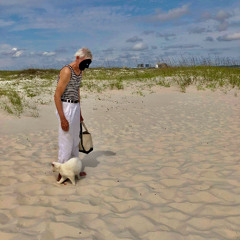 Næste gang vi følges