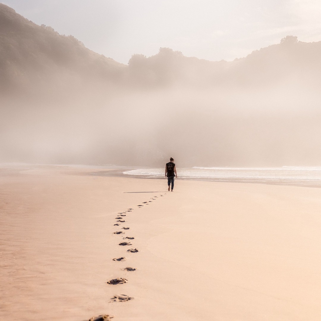 Into the Fog
