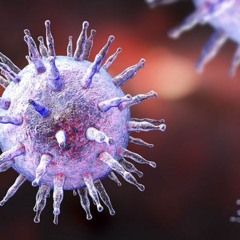 Epstein-Barr Virus Elimination | Eradicate the Virus & Reduce Inflammation and Swelling
