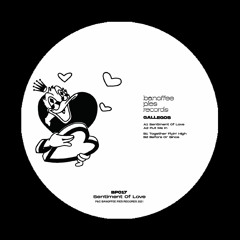 Premiere : Gallegos - Together Flyin’ High [Banoffee Pies Records]