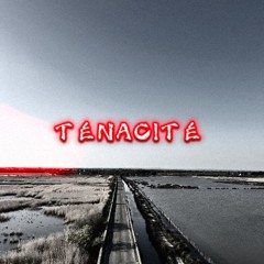 TÉNACITÉ BR?AN