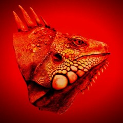 Red Iguana [unmixed instrumental]