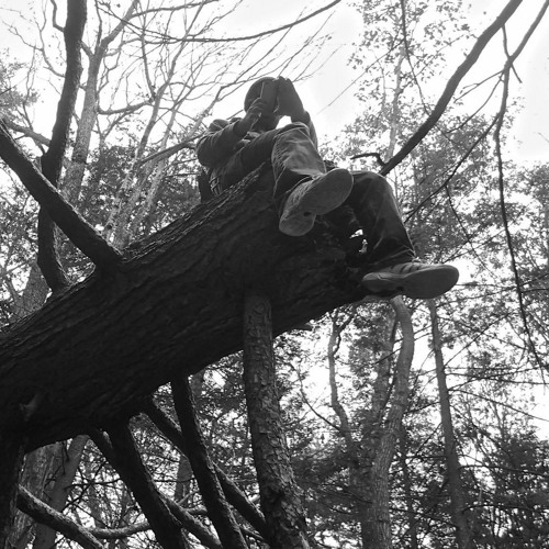 The Real Critic The Rapper