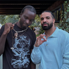 fimiguerrero smartwhip flip