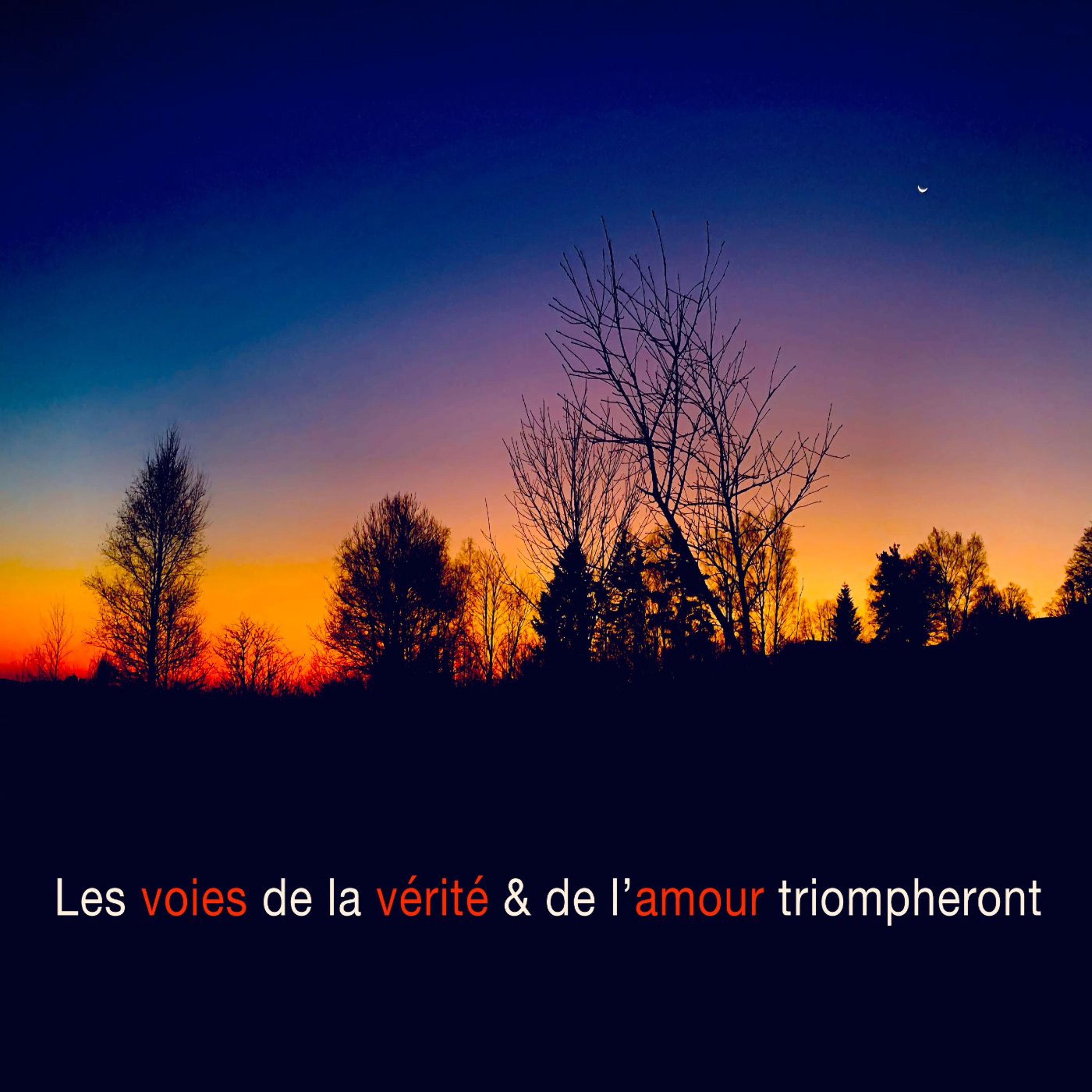 MICROPHONE FRANCOPHONE 15.7 episode artwork