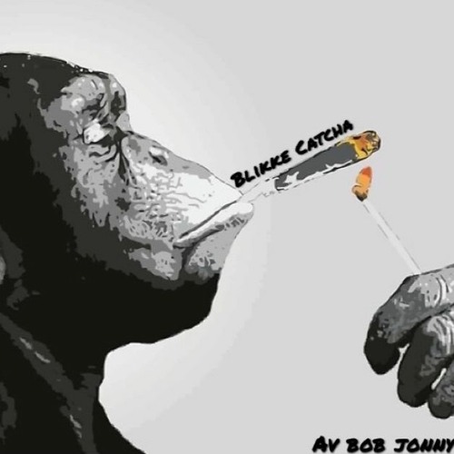 Blikke Catcha