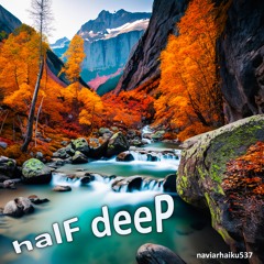 halF deeP [naviarhaiku537]
