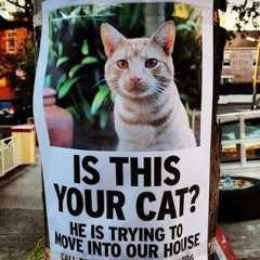 Tech042 Local Party 2020 - 09 - 05 set