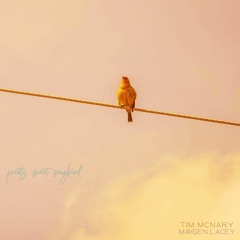 Pretty Sweet Songbird - Maygen Lacey & Tim McNary