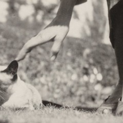 I was thinking about u