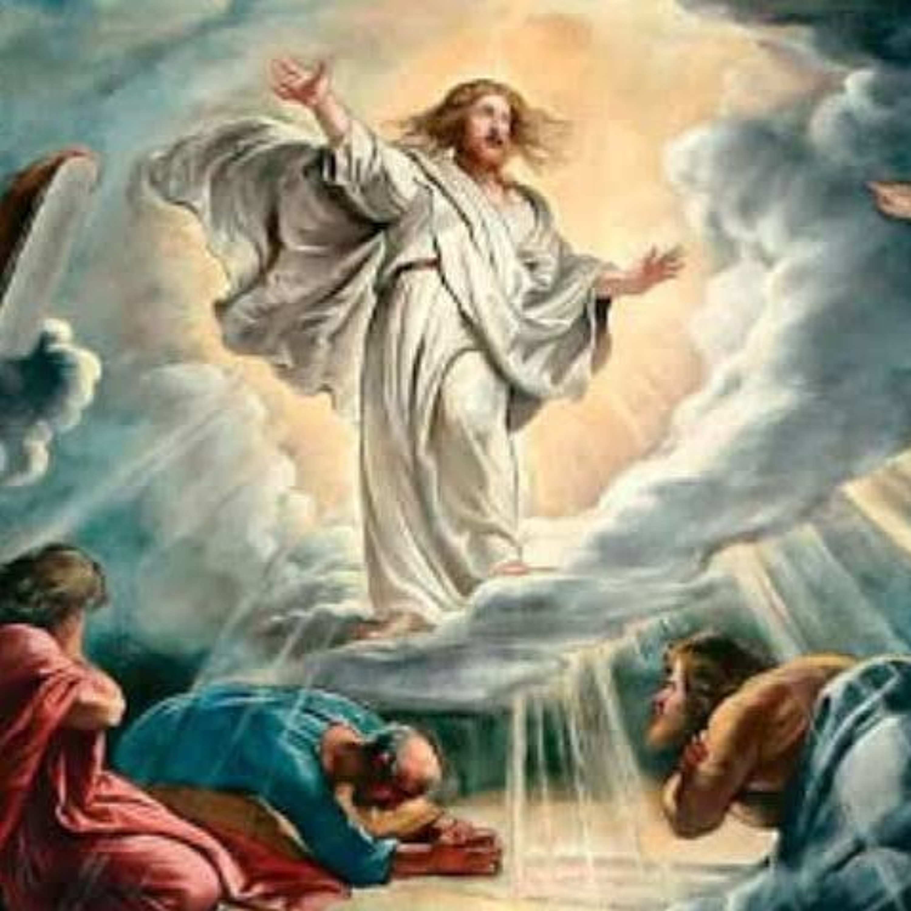 Santo do Dia - Festa da Transfiguração Do Senhor (06/08) episode artwork