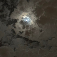 تسوي نفسها عادي وهي بالحيل مشتاقه..