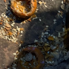 fiwe fwies (12/8/25)