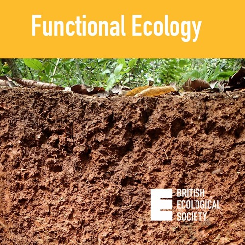 Emerging relationships among microbes, soil carbon storage and climate change