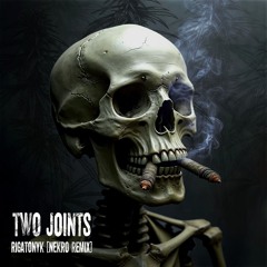Rigatonyk - Two Joints  (Nekro remix)