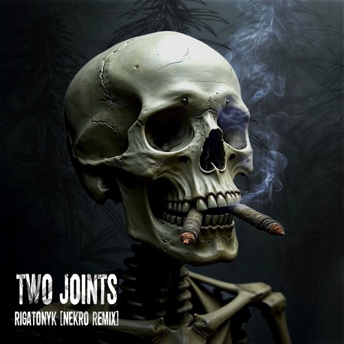 Rigatonyk - Two Joints  (Nekro remix)
