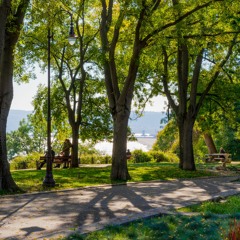 Chechigo feat. Alyssa - Something Real