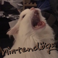 Nintendogs Bath Theme Thurston Cat