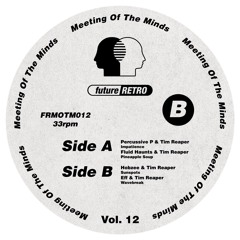 Fluid Haunts & Tim Reaper - Pineapple Soup (FRMOTM012 vinyl and digital out now)
