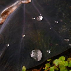 Alone - Big Blue (Prod. Apxllobeats)