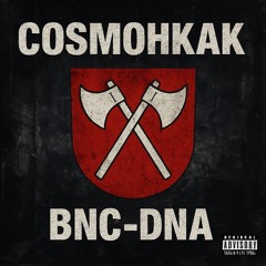 CosmoHKAK - Logi Knoten Lyrik