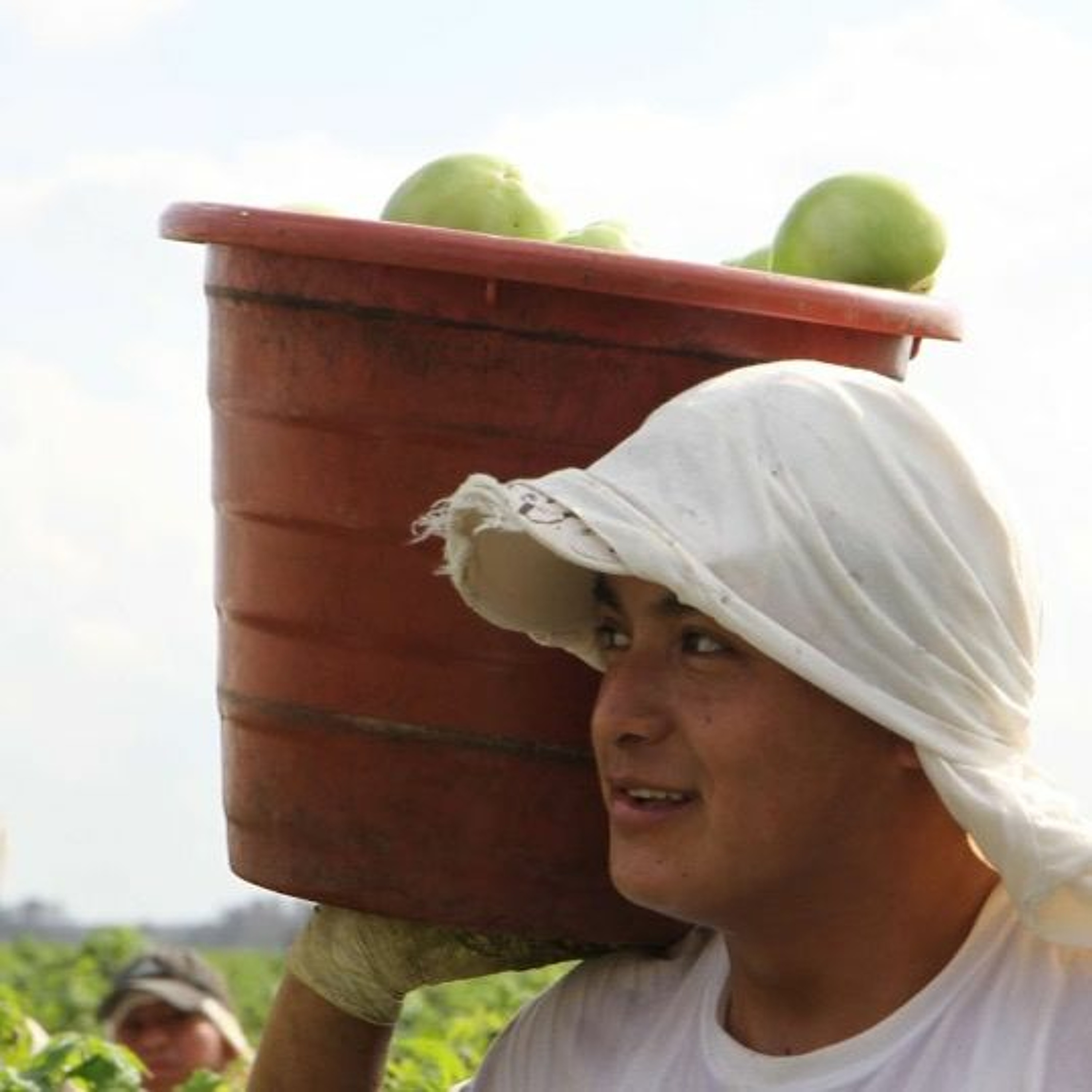 Hispanic Heritage Month: Powering Puerto Rico, Hazards for Farmworkers, Ecological Farming episode artwork