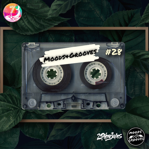 スカート / NICE POP RADIO SESSIONS 2020-2024 スカート / NICE POP RADIO SESSIONS 2020-2024 | COCONUTS DISK