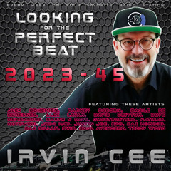 DJ Irvin Cee - Looking for the Perfect Beat 202345