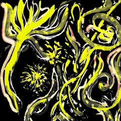 entanglement EP
