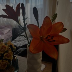 so easy (to fall in love with)🪉-(shortened)