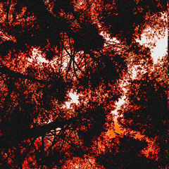 shadows, hellfire, and even demons