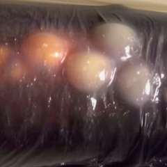 THELIA - sprinkle me [MK PREMIERE]