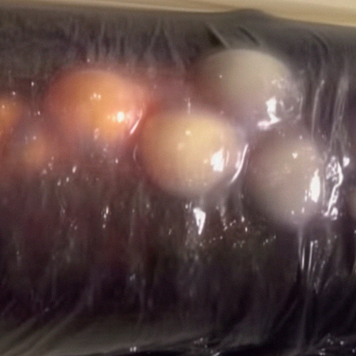 THELIA - sprinkle me [MK PREMIERE]