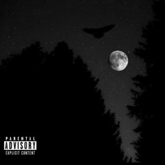 No Competition[PROD:APOLLO]