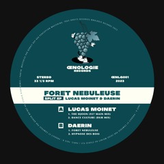 PREMIERE: Lucas Moinet - The Djoon (937 Main Mix)