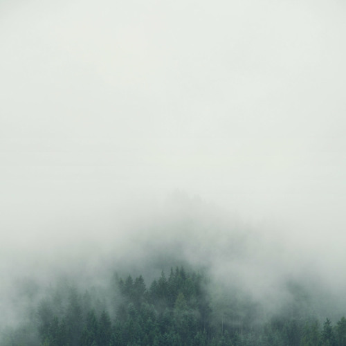 Warmth - Archives 2023