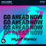 Faulhaber - Go Ahead Now (Wypf Remix)