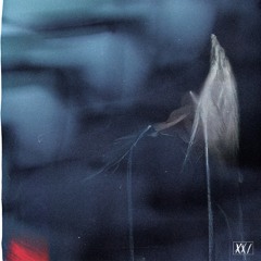 VOID - wærry, plante carnivore, chrysalis & pierrot moon
