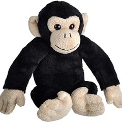 CHIMPIN
