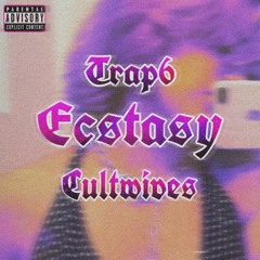 ECSTASY Ft CULTWIVES (PROD.BADHOLLY)