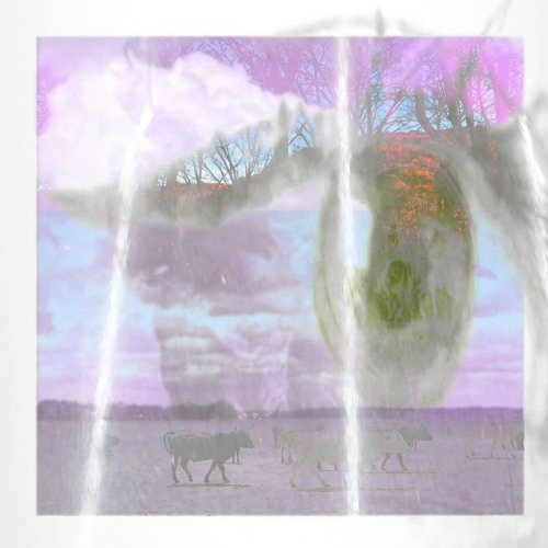 MyLyfe//MyOccupation