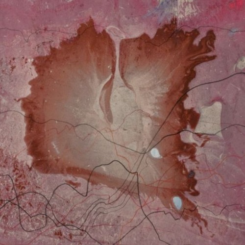 Soup-Like Homogenate (2024)